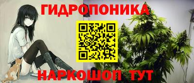 mdpv Братск