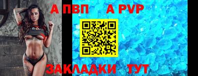 шишки Владимир