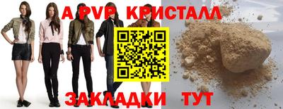 шишки Владимир