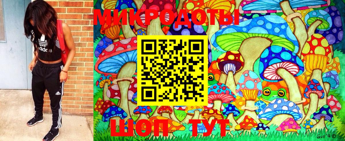 Псилоцибиновые грибы мицелий Новочебоксарск