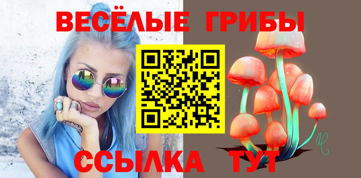 Новочебоксарск  Псилоцибиновые грибы Psilocybe  Вход с VPN 